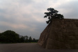 Thumbnail img_1629.jpg 