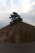 Thumbnail img_1630.jpg 