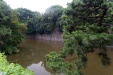 Thumbnail img_1632.jpg 