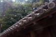 Thumbnail img_1639.jpg 