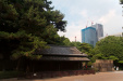 Thumbnail img_1641.jpg 
