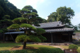 Thumbnail img_1643.jpg 