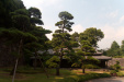 Thumbnail img_1644.jpg 