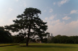 Thumbnail img_1646.jpg 