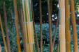 Thumbnail img_1652.jpg 