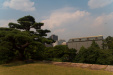 Thumbnail img_1655.jpg 