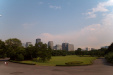 Thumbnail img_1656.jpg 