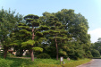 Thumbnail img_1657.jpg 