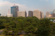 Thumbnail img_1658.jpg 