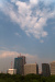 Thumbnail img_1659.jpg 