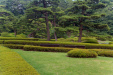 Thumbnail img_1664.jpg 
