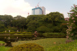Thumbnail img_1666.jpg 