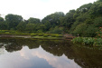 Thumbnail img_1667.jpg 