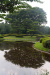 Thumbnail img_1670.jpg 