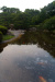 Thumbnail img_1671.jpg 