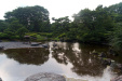 Thumbnail img_1672.jpg 