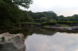 Thumbnail img_1673.jpg 