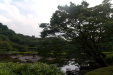 Thumbnail img_1674.jpg 