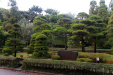 Thumbnail img_1676.jpg 