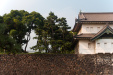 Thumbnail img_1683.jpg 