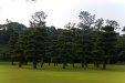 Thumbnail img_1686.jpg 