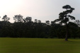 Thumbnail img_1687.jpg 