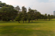 Thumbnail img_1688.jpg 