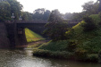 Thumbnail img_1690.jpg 