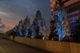 Thumbnail img_1717.jpg 