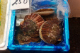 Thumbnail img_1847.jpg 