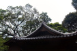 Thumbnail img_1886.jpg 