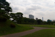 Thumbnail img_1903.jpg 