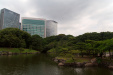 Thumbnail img_1924.jpg 