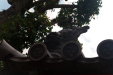Thumbnail img_1980.jpg 