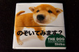 Thumbnail img_2083.jpg 