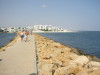 Thumbnail IMG_6446.JPG 