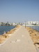 Thumbnail IMG_6454.JPG 