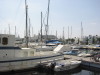 Thumbnail IMG_6456.JPG 