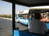 Thumbnail IMG_6482.JPG 