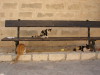 Thumbnail IMG_6483.JPG 