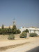 Thumbnail IMG_6529.JPG 