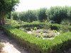 Thumbnail IMG_6534.JPG 