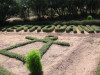 Thumbnail IMG_6536.JPG 