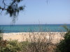 Thumbnail IMG_6537.JPG 