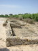 Thumbnail IMG_6538.JPG 