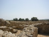 Thumbnail IMG_6539.JPG 