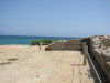 Thumbnail IMG_6545.JPG 