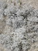 Thumbnail IMG_6547.JPG 