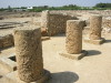 Thumbnail IMG_6565.JPG 