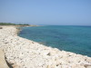 Thumbnail IMG_6568.JPG 